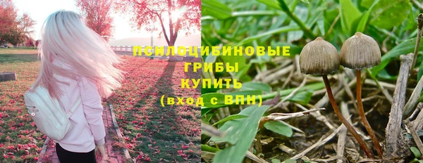 ПСИЛОЦИБИНОВЫЕ ГРИБЫ Абдулино
