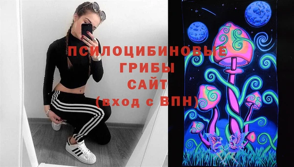 a pvp Абаза