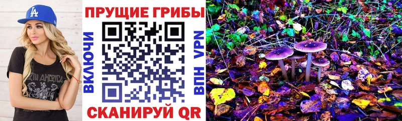цена   Вилюйск  Псилоцибиновые грибы Magic Shrooms 